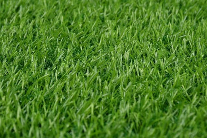 Artificial Turf Grass Indoor Outdoor, Outdoor Grass Mat Non Toxic Artificial Grass Area Rug, Multiple sizes, Professional Outdoor Grass Mat