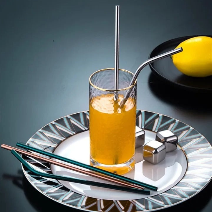 Metal Straw for Drinking Juice | Eco Friendly & Reusable